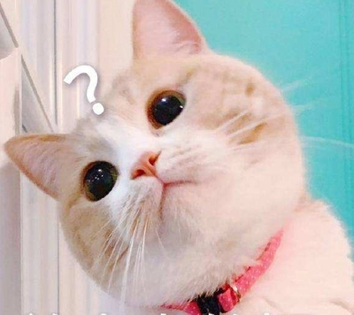 母猫没有生理期？——关于猫咪的7个性知识秘密