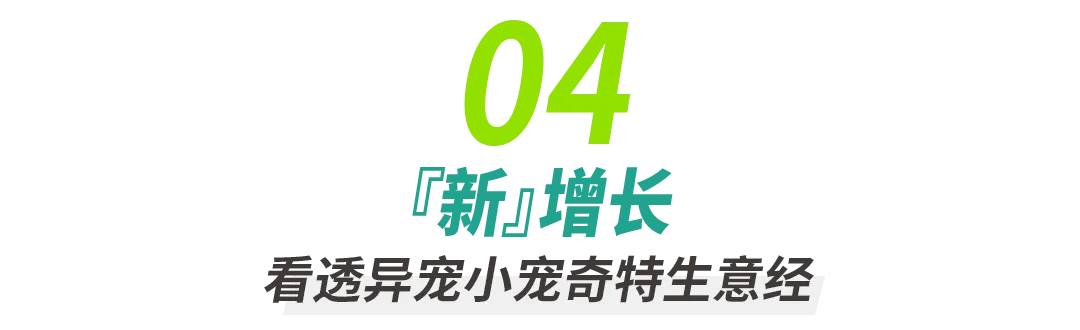 2024年第十二届深圳国际宠物展暨全球宠业跨境电商交易会